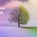 Seasons Change